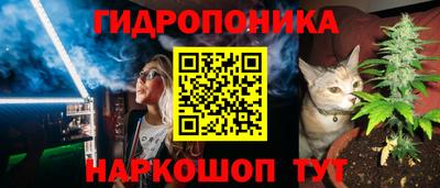 Альфа ПВП Лесосибирск